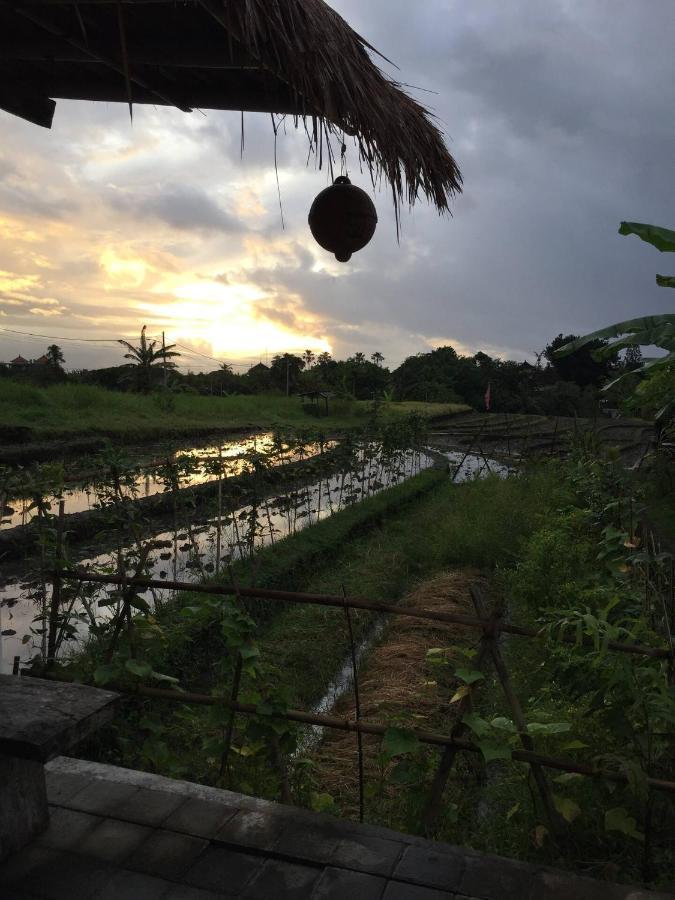Cat Cow Yoga Villa Canggu Eksteriør bilde